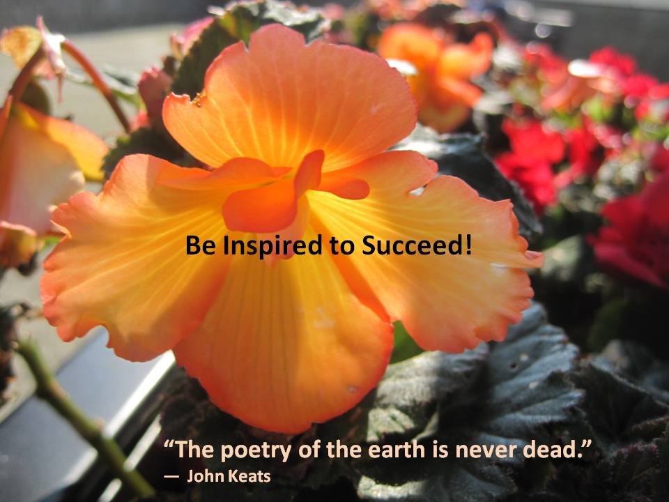 Success be inspired
