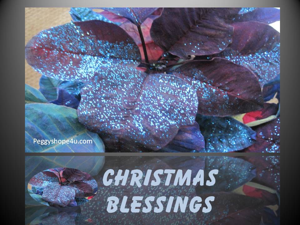 Christmas Blessings 2
