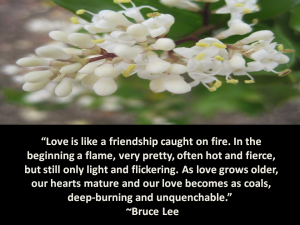 Love is like friendship on fire
