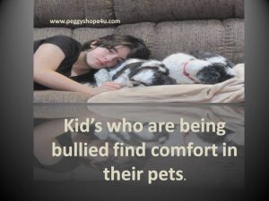 Bullying kids pets
