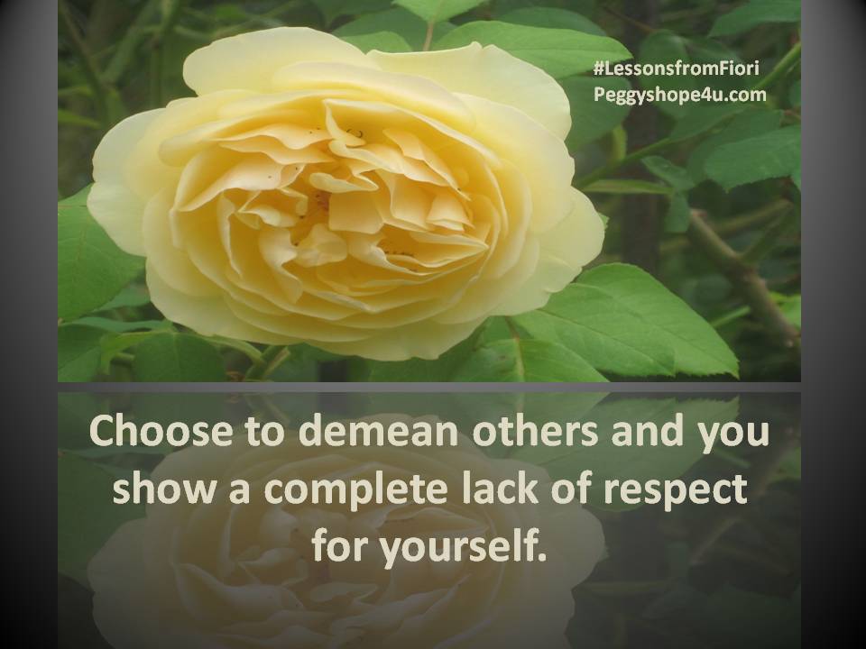 Respect Demean others