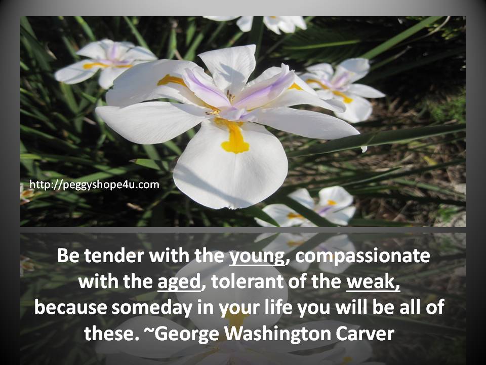 compassion-george-washington-carver
