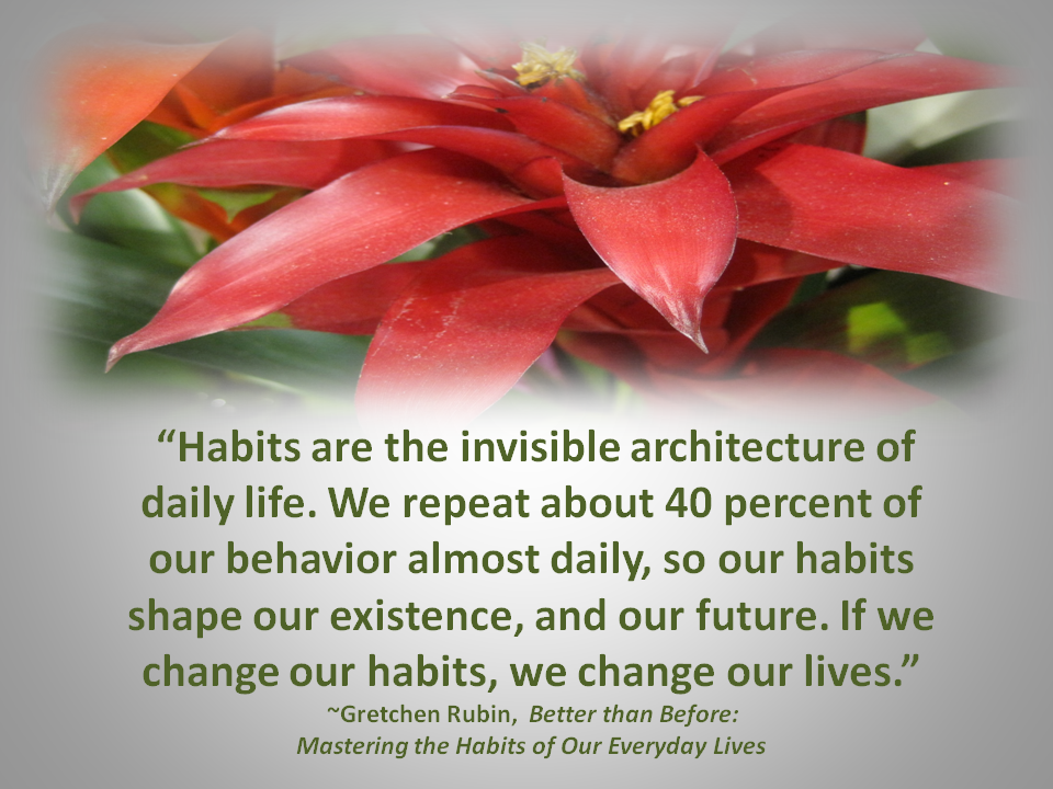 Everyday Habits Shape Our Existence