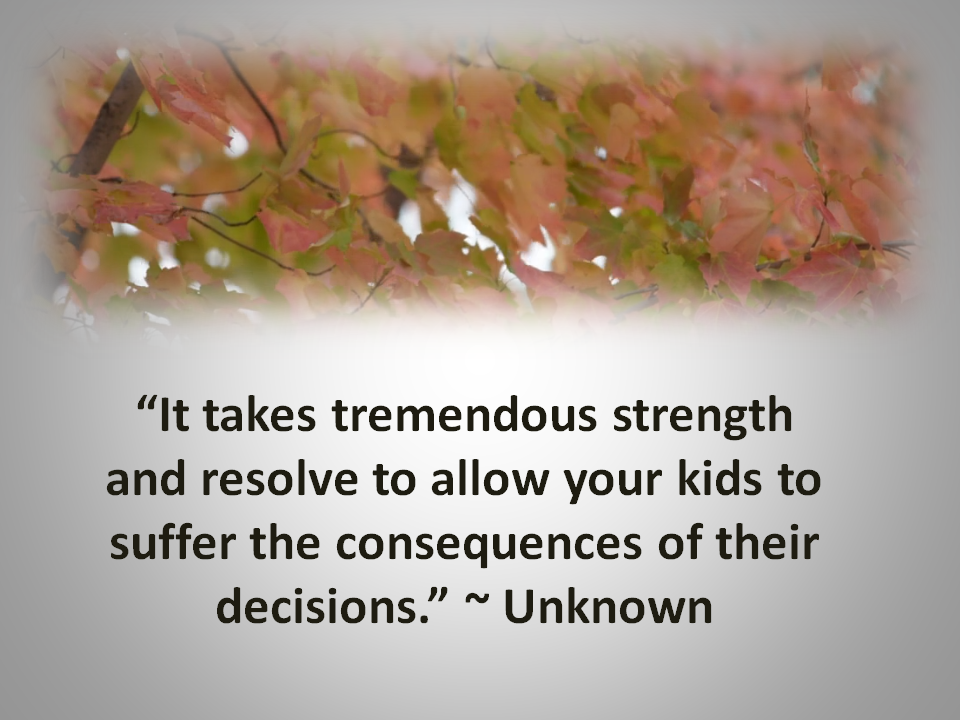 Consequences shape the future successes our children will achieve.