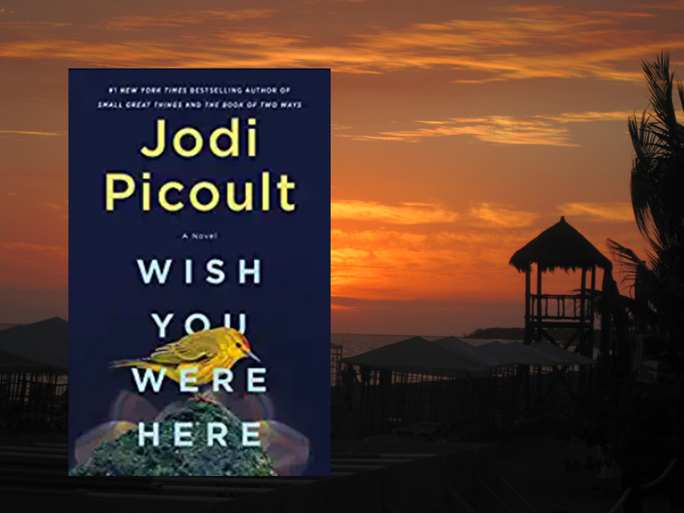 Book Share presents "Wish You Were Here," a great pandemic review.